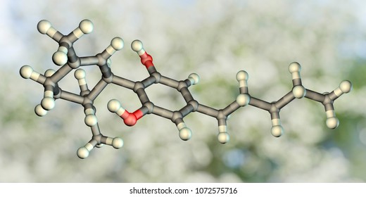 Cannabidiol molecule, 3D illustration. A phytocannabinoid derived from Cannabis species, it lacks psychoactive activity and has analgesic, antineoplastic, anti-inflammatory and chemopreventive