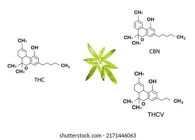 Cannabis formula, CBD skeleton, cannabis molecule, cannabis formula cannabinoid chemical molecular structure isolated on white background