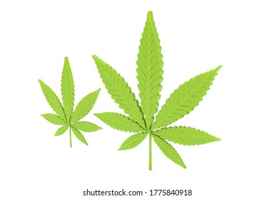 Cannabis Leaf Isolated On White Background. 3D Render