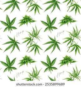 Cannabis sativa and indica herb leaves, flowers, stem seamless pattern on white background. Hemp medicinal plant watercolor illustration. Cannabis plant green leaf element seamless pattern design - Powered by Shutterstock