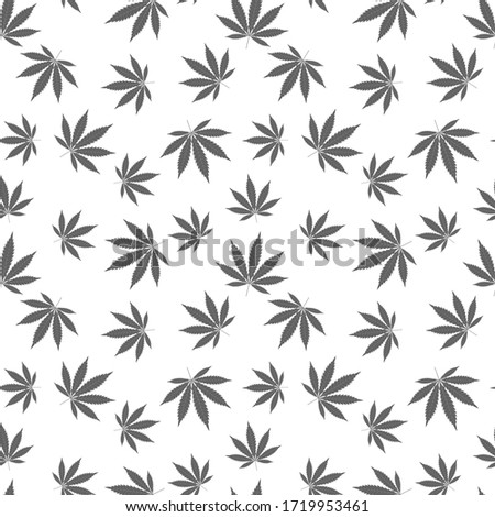 Cannabis seamless pattern. Marijuana leaf, gray weed plant. Hashish texture, isolated white background. Hemp psychedelic grass. Fabric print for medical wallpaper. Simple design. illustration