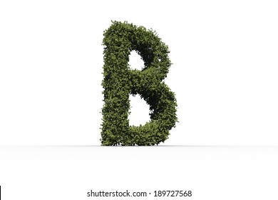 Capital Letter B Made Leaves On Stock Illustration 189727568