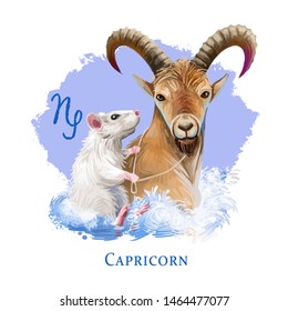 Capricorn Creative Digital Illustration Of Astrological Sign. Rat Or Mouse Symboll Of 2020 Year Signs In Zodiac. Horoscope Earth Element. Logo With Sea-goat. Graphic Design Clip Art For Web And Print