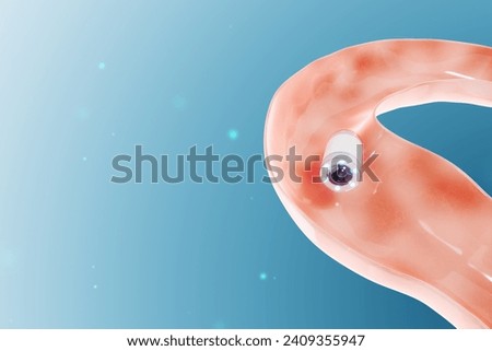 Capsule endoscopy, alternative of colonoscopy, small capsule with video camera in human intestine. medicine, examination. 3D rendering, 3D illustration, photorealism
