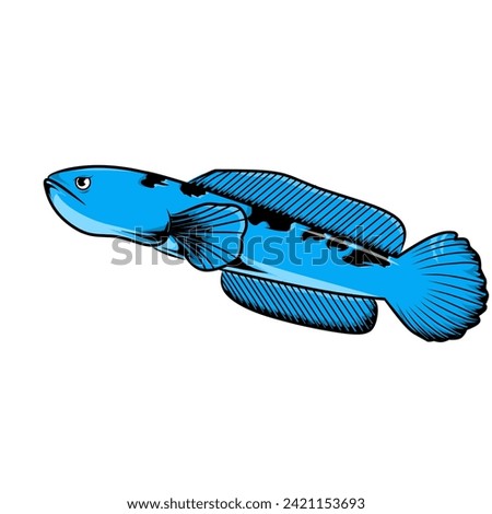 In the captivating image of the Blue Channa fish, the aquatic beauty unfolds with a stunning display of vibrant hues. The Blue Channa, a member of the snakehead fish family, exhibits a captivating azu Stock photo © 