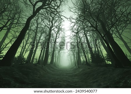 Similar – Image, Stock Photo Forest in eerie atmosphere