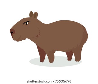 Capybara Cartoon Character Cute Capybara Flat: ภาพประกอบสต็อก 756006778