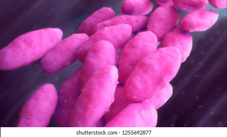 Carbapenem-resistant Enterobacteriaceae 3d Illustration