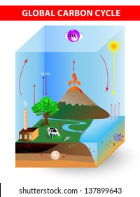 carbon cycle.  diagram shows the movement of carbon between land, atmosphere, and oceans