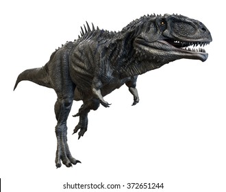 Carcharodontosaurus 3d Render On Isolated White Stock Illustration 