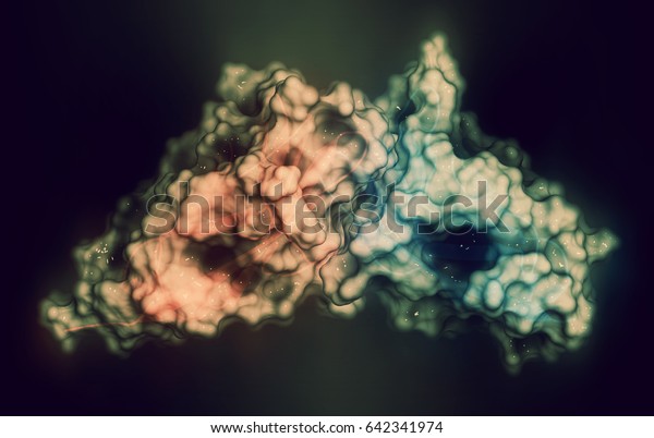 Carcinoembryonic antigen (CEA,\
CEACAM5, N-terminal domain). Used as tumor biomarkerin some forms\
of cancer. 3D rendering based on protein data bank entry 2qsq.\
