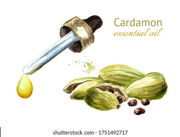 Cardamon Pods And Essential Oil Drop. Hand Drawn Watercolor Illustration Isolated On White Background