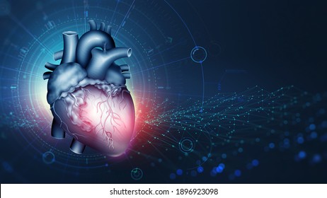 Herztechnologie, Innovationen in der Medizin und Transplantologie. Cardio-Ausbildung und moderne Technologien. Anatomie des menschlichen Herzens 3D-Illustration