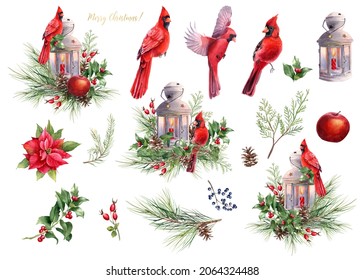 Cardinal Bird, Vintage Lantern, Winter Greenery. Christmas Clipart. Watercolor Illustration. Pine Fir Branches, Holly Berry, Gold Apple, Coin. Floral Bouquet. Holiday Decor For Print, Card Making