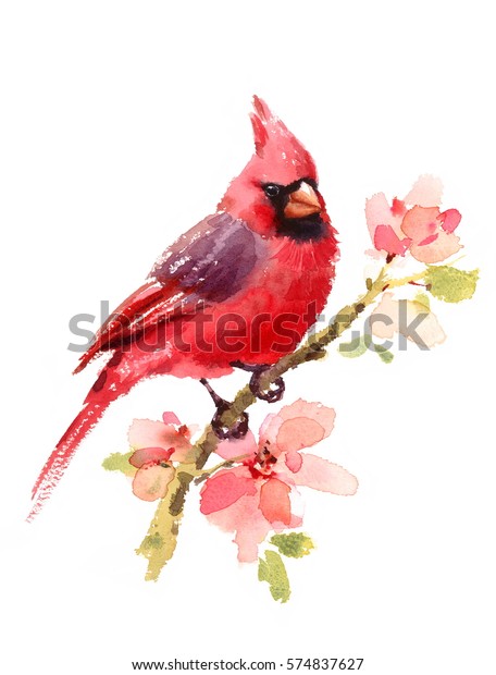 白い背景に花と花の付いた赤い主鳥水色の手描きの夏のイラスト のイラスト素材
