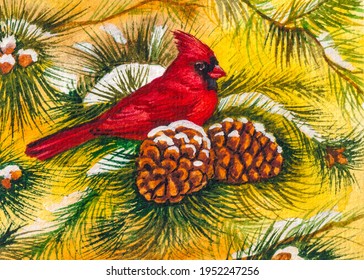Cardinal Red bird on pine tree branch. Breed of Cardinal. Snow on a Pine cone. Winter season. Watercolor painting. Acrylic drawing art.