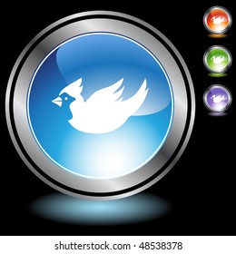 Cardinal web button isolated on a background