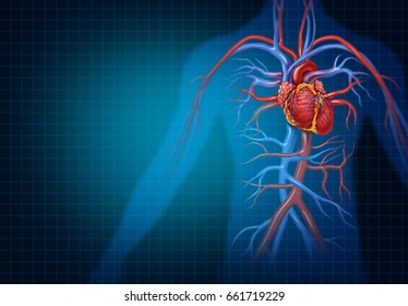Cardiology and cardiovascular heart concept as a human blood circulation health medical symbol representing a healthy circulatory heart organ with veins and arteries in a 3D illustration style.
