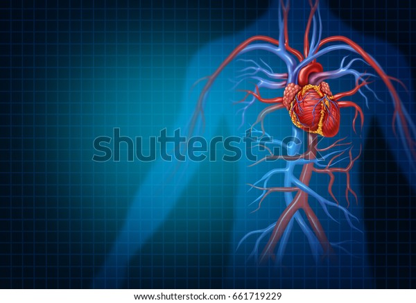 cardiolog-a-y-concepto-cardiovascular-de-coraz-n-ilustraci-n-de-stock