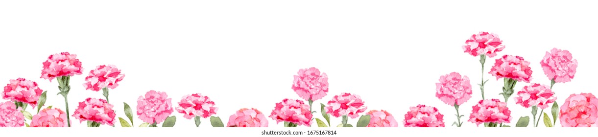 Carnation Flower Background Watercolor
Spring Mothers Day