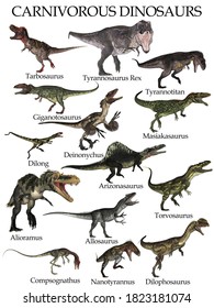 Carnivorous dinosaurs set isolated in white background - 3D render