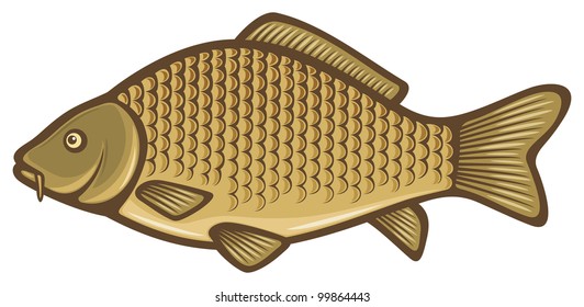 Carp Fish Stock Illustration 99864443