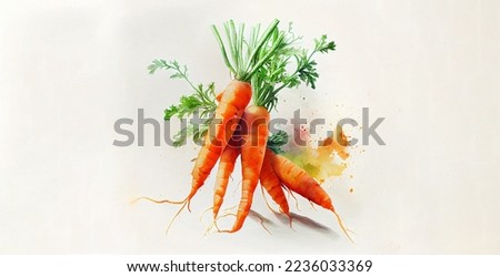 Carrot. Color watercolor on white paper background. Illustration of vegetables and greens.