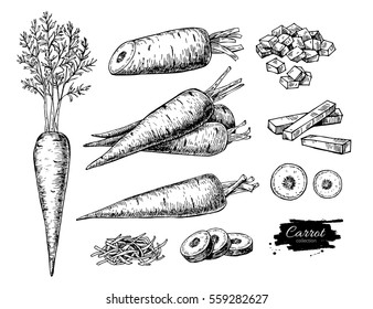 Carrot Drawing Images Stock Photos Vectors Shutterstock