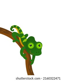 Cartoon American Happy And Funny Lizard Chameleon Isolated On White Background - Illustration For Children