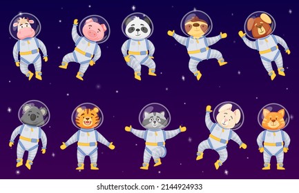 Cartoon animal astronauts, cute animals in space suits. Funny panda, dog, raccoon, tiger, koala character flying in outer space  set. Characters exploring universe, discovering galaxy