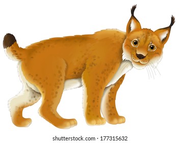 Cartoon animal - lynx - illustration for the children - BIG format