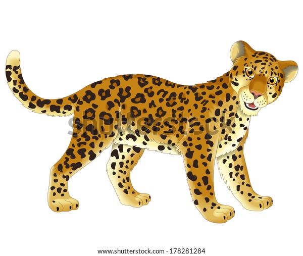 Cartoon Animal Panther Illustration Children Stock Illustration ...