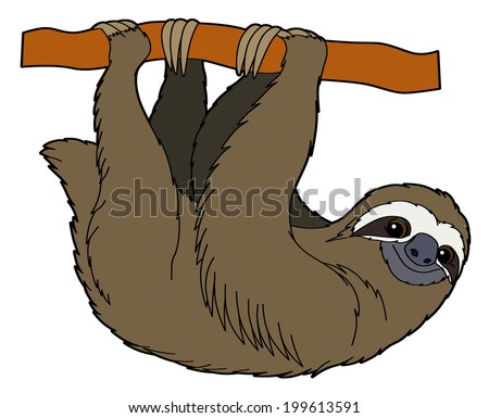 Cartoon Animal Sloth Flat Coloring Style Stock Illustration 199613591