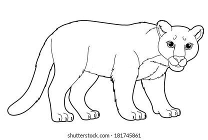 Cartoon Animal Wild Puma Illustration Children Stock Illustration ...