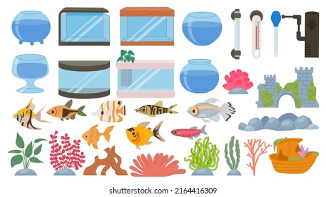 Cartoon aquarium decoration, underwater plants, seaweeds, stones and pet fish. Empty aquariums tank, water fauna, filter and lamp  set. Colorful fish, equipment as thermometer