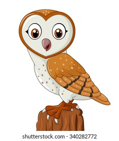 Barn Owl Cartoon Images Stock Photos Vectors Shutterstock