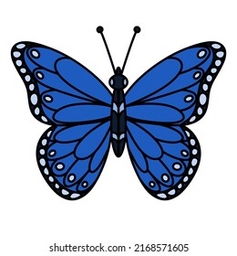 Cartoon Blue Monarch Butterfly On White Background 