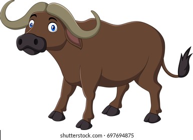 Featured image of post Buffalo Cartoon Images Buffalo cartoon 12 of 173