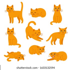 Cartoon cat set with different poses and emotions. Cat behavior, body language and face expressions. Ginger kitty in simple cute style, isolated illustration. - Powered by Shutterstock