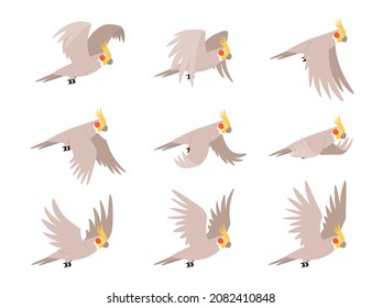 Cartoon Cockatoo Parrot Fly Animation Frames Sequence. Animated Sprites Loop Of Tropical Bird Flying In Sky. Parrot Wing Motion Cycle. Exotic Adorable Fauna Character Flight