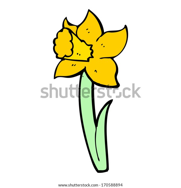 Cartoon Daffodil Stock Illustration 170588894