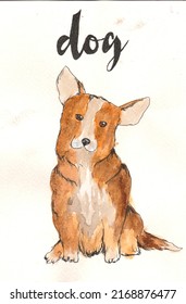 Cartoon Dog Breed Corgi On A White Background, With The Text Dog On Top. Drawing Of A Brown Dog With Big Ears