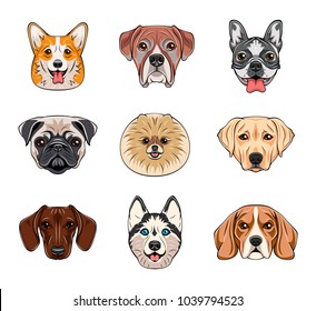 Cartoon Dog Faces Set Different Breeds Stock Illustration 1039794523 ...