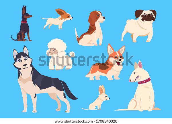 Cartoon dogs breeds. Corgi and husky, poodle and beagle, pug and