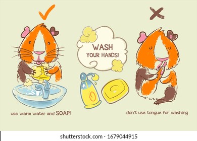 Cartoon drawing of simple but effective hygiene rules. Wash your hands using soap. Cute Guinea pig washs its paws.