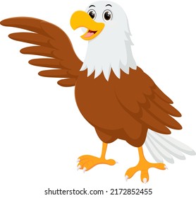 Cartoon Eagle Isolated On White Background Stock Illustration ...