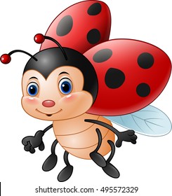 Cartoon Funny Ladybug