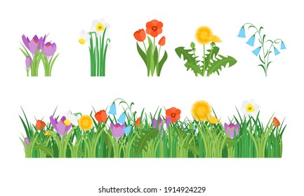 Cartoon Garden Flowers and Element Set Concept Flat Design Style Include of Grass, Plant and Leaf. illustration