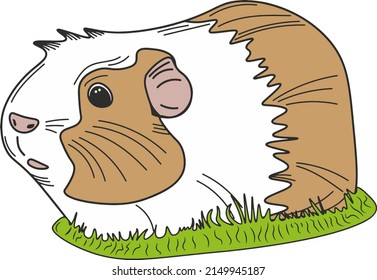 Cartoon Guinea Pig Sitting On Grass Stock Illustration 2149945187 ...