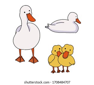 Cartoon Illustration Duck Family Duck Chicks Stock Illustration ...